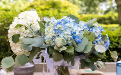 Wedding Photography: How to Capture Unforgettable Moments